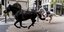 Άλογα του βρετανικού στρατού τρέχουν, αλαφιασμένα, στους δρόμους του Λονδίνου