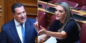 Αδωνις Γεωργιάδης, Πέτη Πέρκα