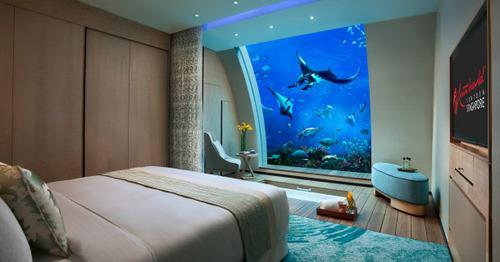 Κοιμηθείτε με τα ψάρια: Υποβρύχια ξενοδοχεία που κόβουν την ανάσα [εικόνες] | iefimerida.gr 5