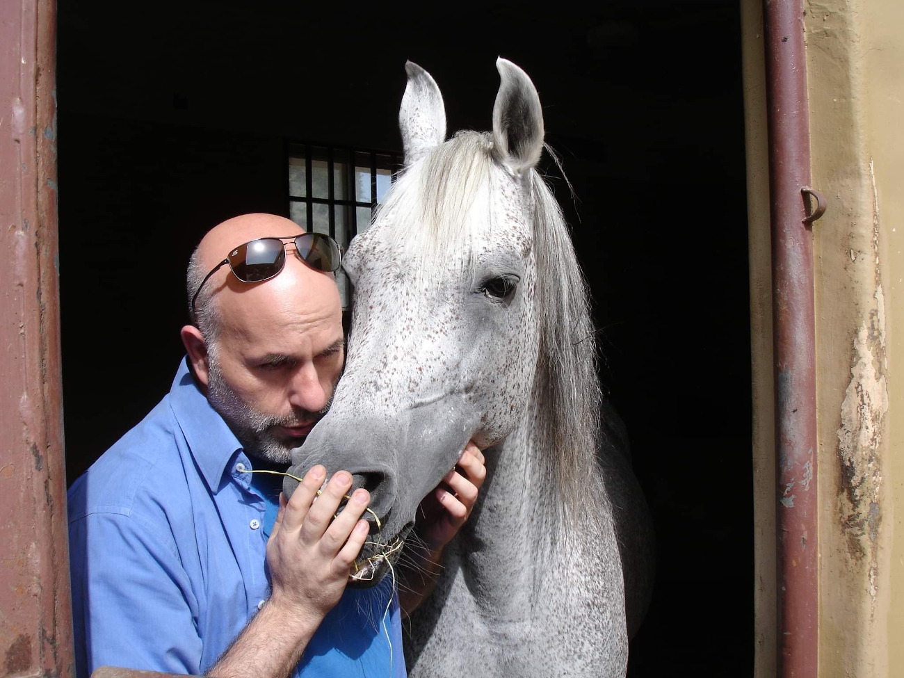 man with horse 