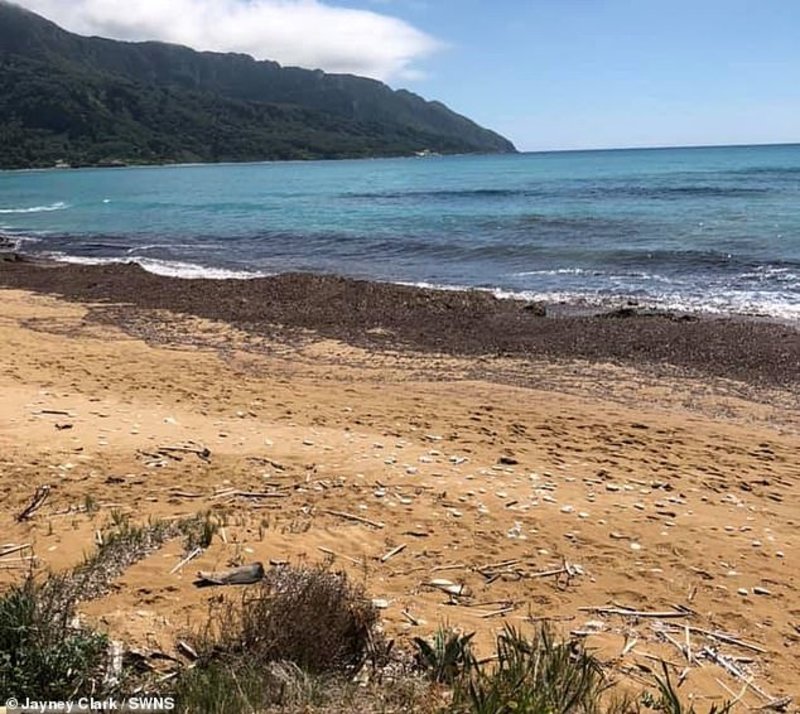 Î ÏÎ±ÏÎ±Î»Î¯Î± Î¼ÏÏÎ¿ÏÏÎ¬ Î±ÏÏ ÏÎ¿ Î¾ÎµÎ½Î¿Î´Î¿ÏÎµÎ¯Î¿ ÏÏÎµÎ´ÏÎ½ ÎºÎ±ÏÎ¬Î¼Î±ÏÏÎ· Î±ÏÏ ÏÎ± ÏÏÎºÎ¹Î±