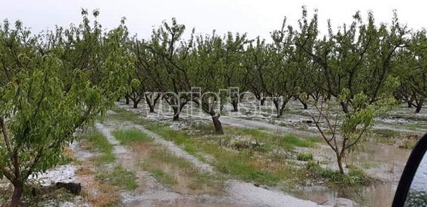 Έπεσε χαλάζι στην Ημαθία