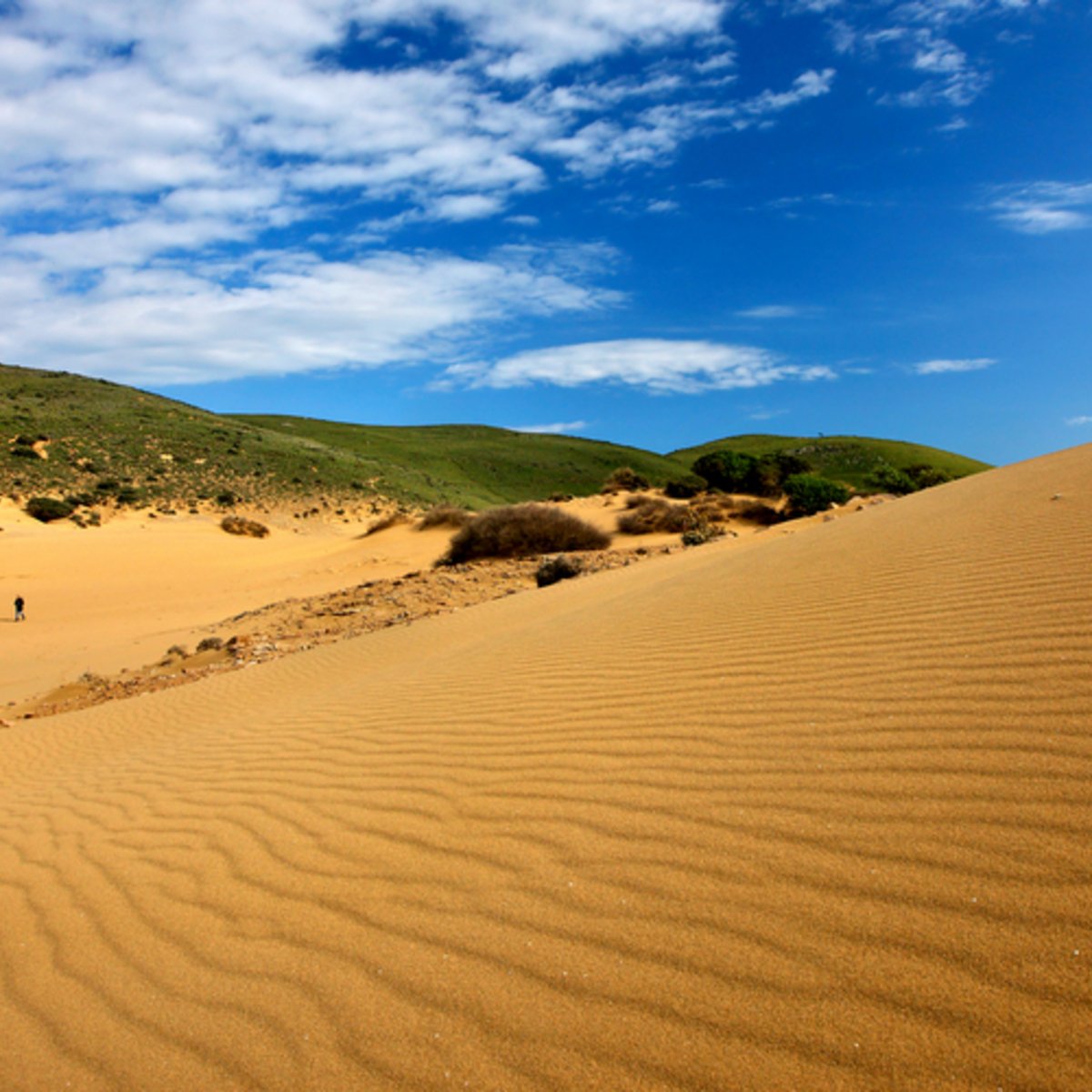 Η «Σαχάρα της Ελλάδας» βρίσκεται στη Λήμνο -Απόκοσμο σκηνικό με χρυσή άμμο [εικόνες] - iefimerida.gr