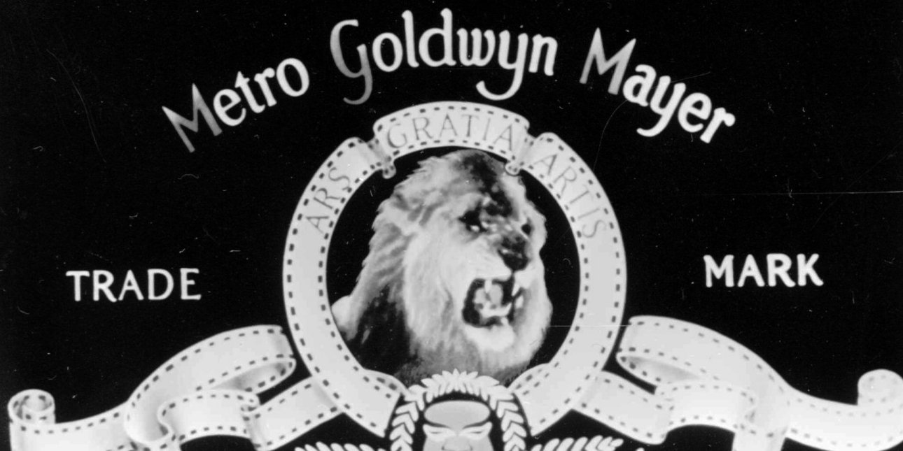 Metro goldwyn mayer прикол