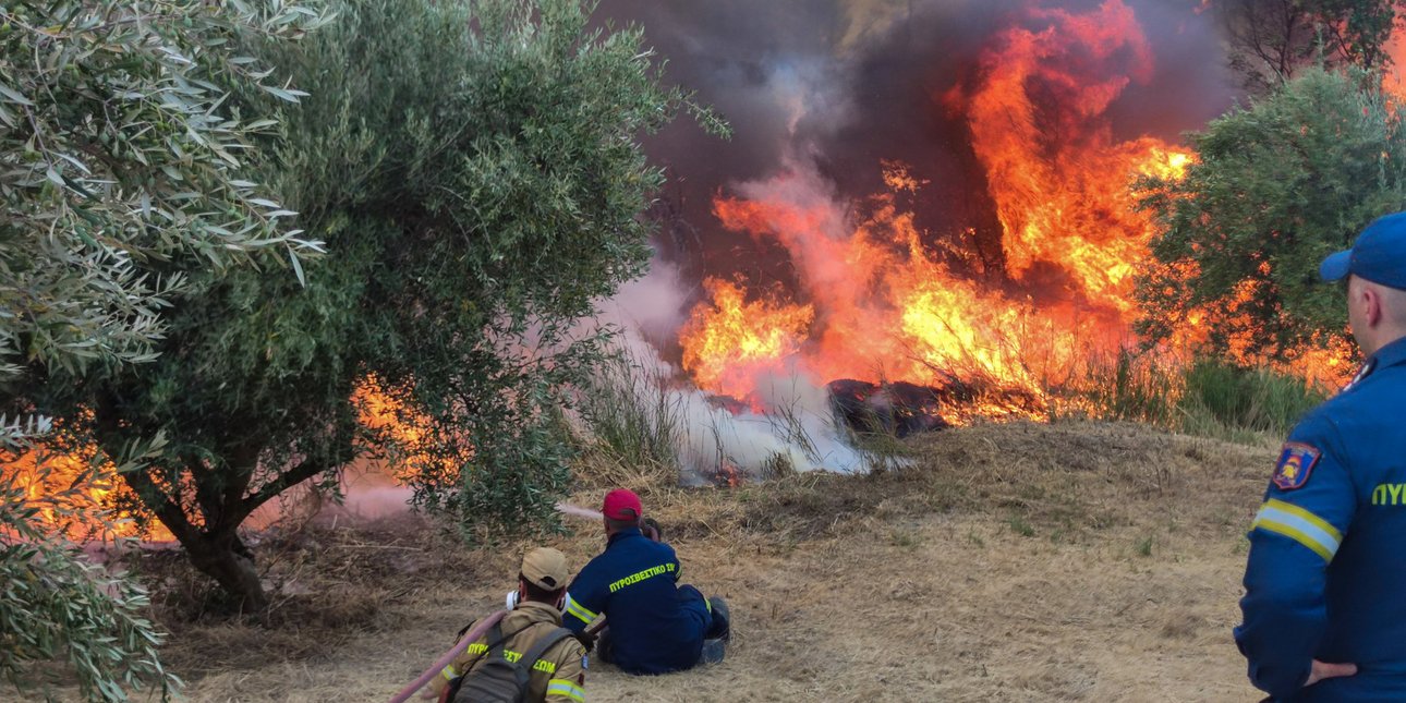 Νέα φωτιά στην Ηλεία -Στην περιοχή Σχίνους στη Ζαχάρω ...