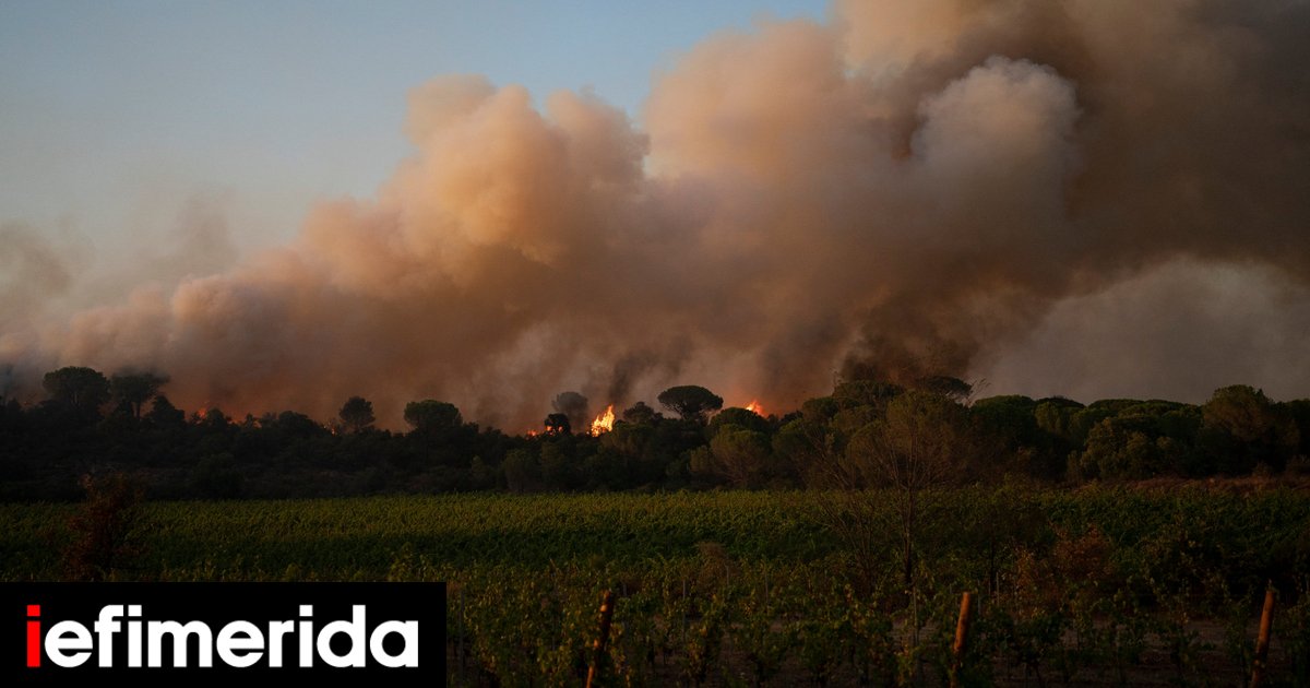 Sud de la France : des incendies déferlent sur des zones touristiques – des maisons en danger, des conditions météorologiques extrêmes règnent