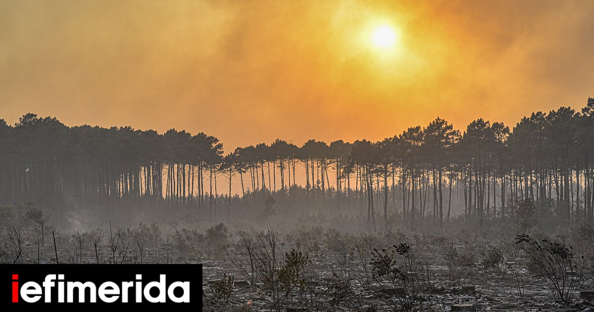 France : nécessité d’acheter du matériel de lutte contre les incendies aériens de pointe auprès de l’UE