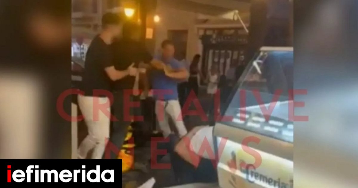 Crete: A wild tree inside a shop in the center of Rethymno – watch the video