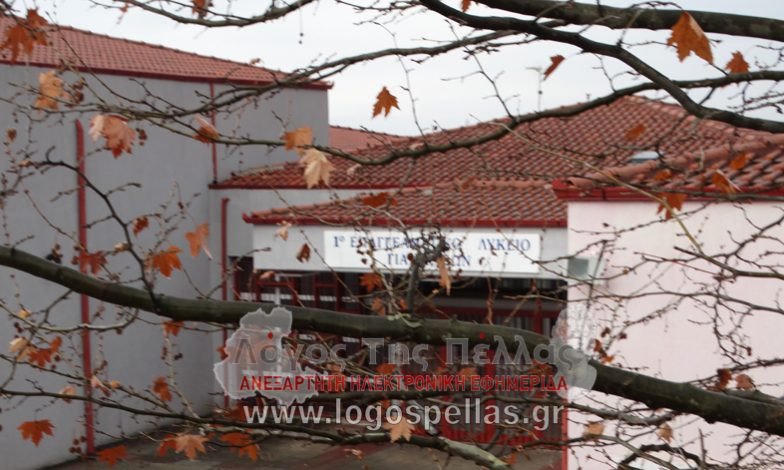 Γιαννιτσά: Κλειστά σχολεία για τη Μακεδονία | iefimerida.gr 1