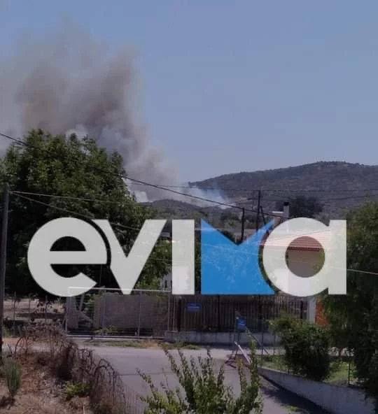 Φωτογραφία από evima