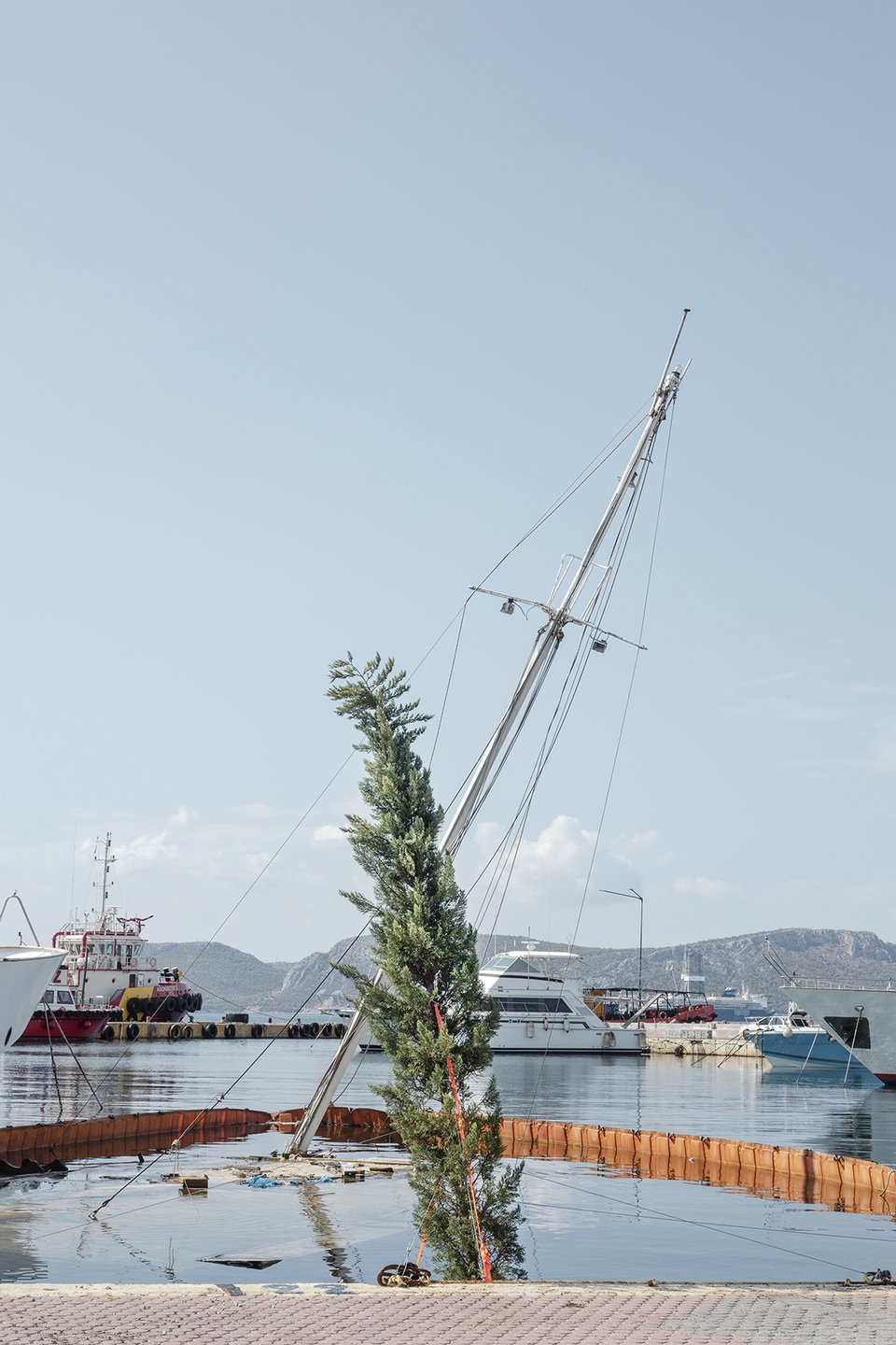 Το κυπαρίσσι που γέρνει πλάι στο βυθισμένο ιστιοπλοϊκό / Μαργαρίτα Νικητάκη