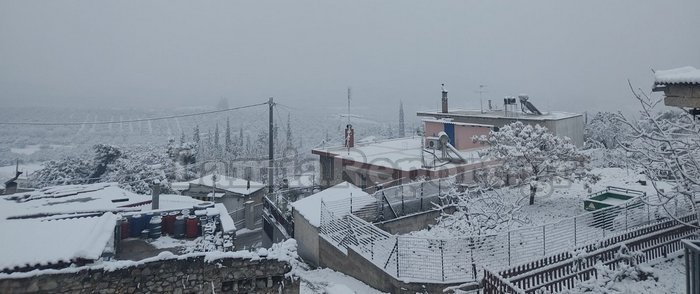 Στο χωριό Ράχες το στρωσε