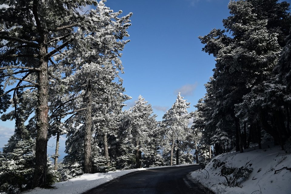 πρώτα χιόνια στην Πάρνηθα