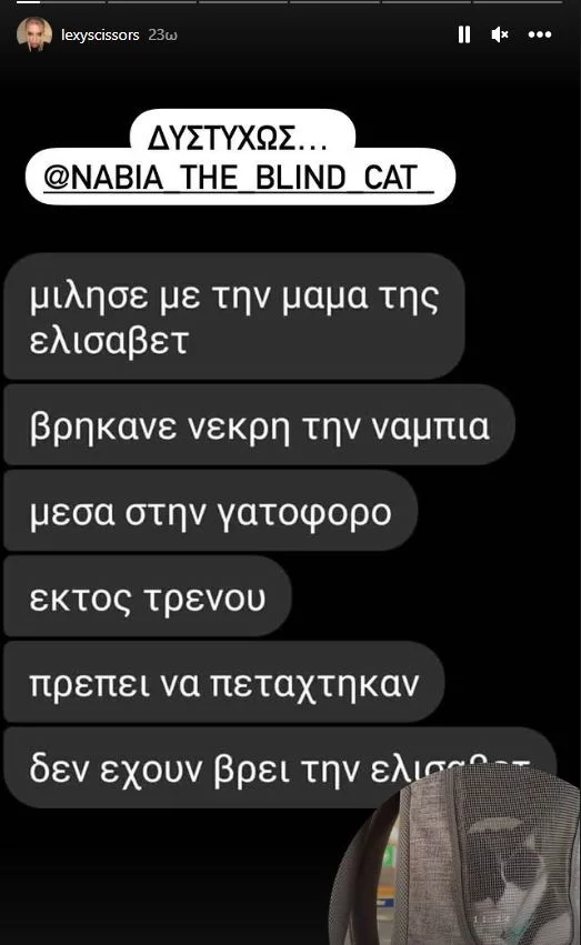 Η ανάρτηση της Αλεξίας Κούβελα για τη γάτα της 26χρονης φίλης της 