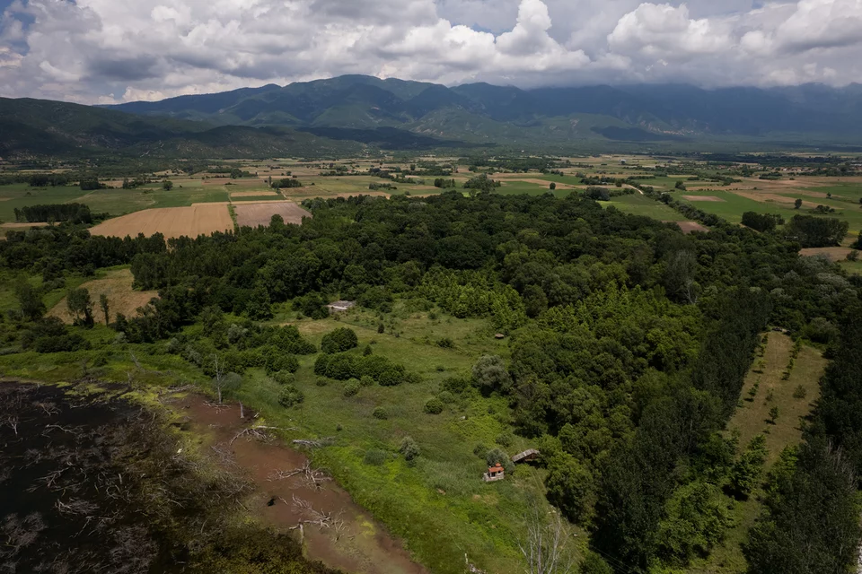 Θα κατασκευαστεί μέσα στο δάσος, ειδικό παρατηρητήριο της πανίδας και χλωρίδας, ύψους περίπου 10 μέτρων, με ειδική ράμπα για ΑΜΕΑ