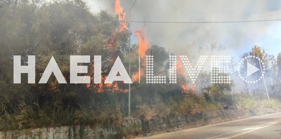 Πυρκαγιά στην Παλαιοβαρβάσαινα Ηλείας -Φωτογραφία: ilialive