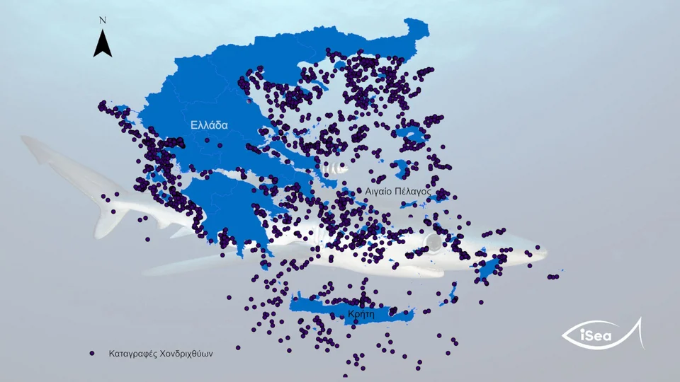 O χάρτης με τις καταγραφές των τελευταίων 90 χρόνων που παραχώρησε στο ΑΠΕ-ΜΠΕ η iSea