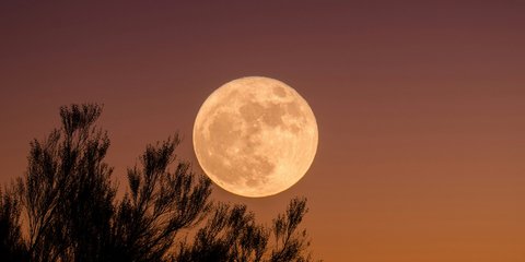 Φωτογραφία Unsplash