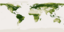 Η Γη στα πράσινα: Δορυφορικός χάρτης παρουσιάζει τα δάση του πλανήτη [εικόνες]