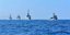 Πλοία του Πολεμικού Ναυτικού