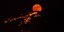 «Το Φεγγάρι του Ελαφιού» από το Ναύπλιο