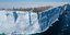 Taking the Plunge, Atka Bay, Antarctica 