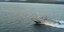 Βυθίστηκε πλοίο στην Ελευσίνα - Ένας ναυτικός αγνοείται