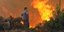 Πυρκαγιά στη Σάμο κατέκαψε 50 στρέμματα δάσους