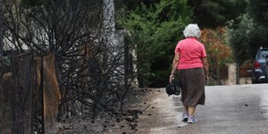 λαμβάνονται μέτρα για τους πυρόπληκτους/Φωτογραφία: EUROKINISSI/ΓΙΑΝΝΗΣ ΠΑΝΑΓΟΠΟΥΛΟΣ