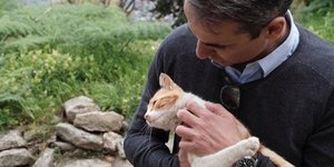 Ο Κυριάκος Μητσοτάκης αγκαλιάζει μία γάτα στο Μυστρά