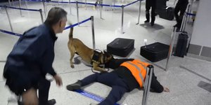 Εντυπωσιακό βίντεο από την άσκηση ετοιμότητας της ΕΛ.ΑΣ. για εξουδετέρωση τρομοκρατών