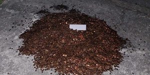 Σωρός από κέρματα