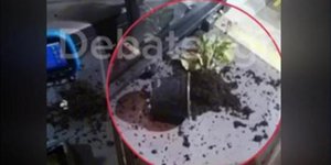Πέταξαν γλάστρα σε λεωφορείο στους Αγίους Αναργύρους