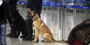 Ο συλληφθείς οδηγήθηκε στον εισαγγελέα Πλημμελειοδικών Αθηνών