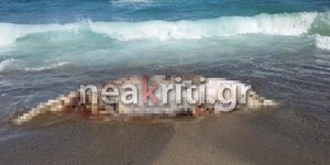 ΦΩΤΟΓΡΑΦΙΑ: neakriti.gr