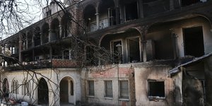 Eκκληση αλληλεγγύης από τους Πράσινους υπέρ των πυρόπληκτων στην Ελλάδα /Φωτογραφία intime news