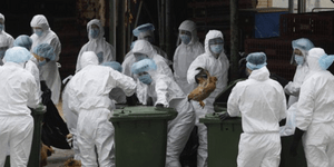 Δόλιος εχθρός χαρακτηρίζεται τώρα η θανατηφόρα γρίπη Η7Ν9 που σαρώνει την Κϊνα