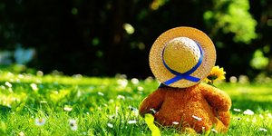 φωτογραφία: pixabay.com